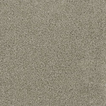 Plaster