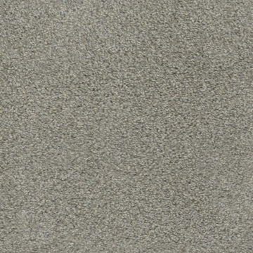 Warm Slate