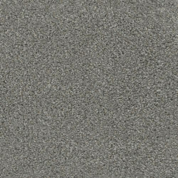 Grey Umbra