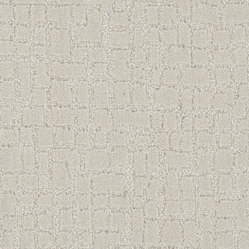 Blank Canvas