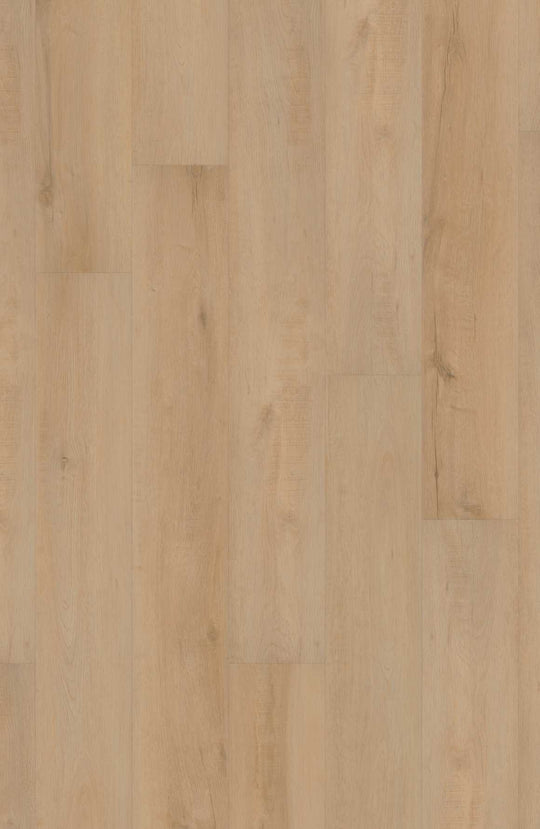 Frontier Oak