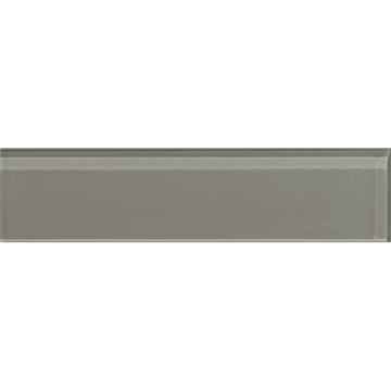 Salsa 2"x8"