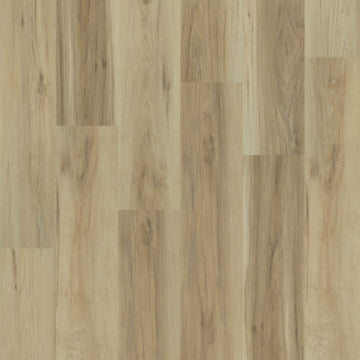 Sierra / 9 x 60