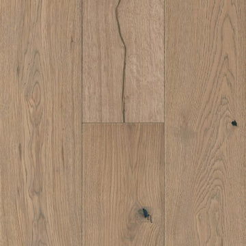 Harmonious Taupe