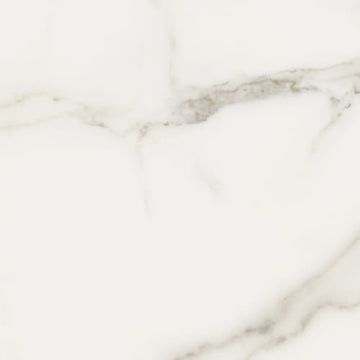 Calacatta Oro 12x24 Rect Matte