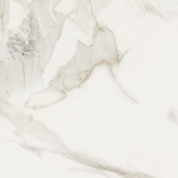 Calacatta Oro 16x32 Rect Matte