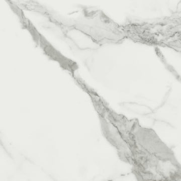 Statuario Venato 12x24 Rect Matte