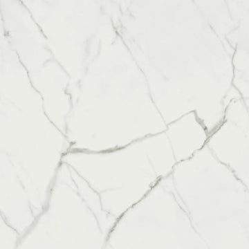 Statuario Venato 24x48 Rect Polished