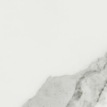 Statuario Venato 4x12 Rect Polished