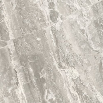 Stella Argento 12x24 Rect Polished