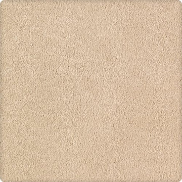 Coastal Beige