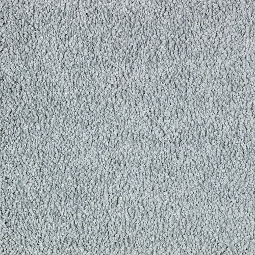 Exquisite Attraction