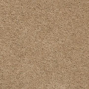 Stonington Beige