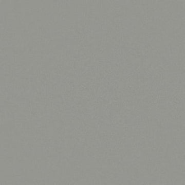 Mica 12x24 Rectified Polished