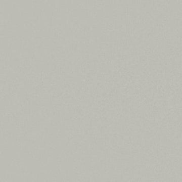 Smoke 12x24 Rectified Polished