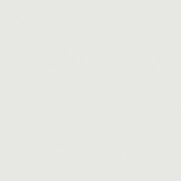 True White 24x48 Rectified Matte