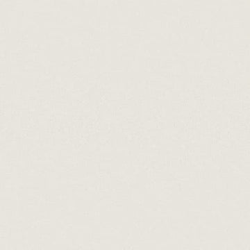 Warm White 12x12 Rectified Matte