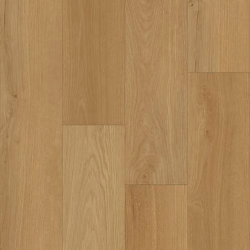 Antler Oak