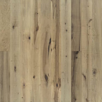 Orris Maple