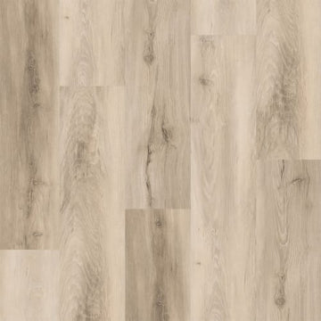 Storied / 7 x 48