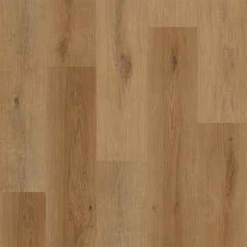 Burgeon / 7 x 48