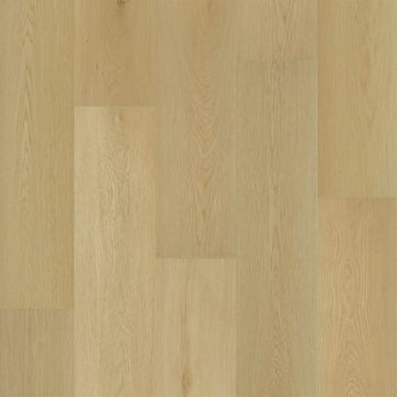 Macadamia / 9 x 60
