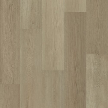 Roman Taupe / 9 x 60