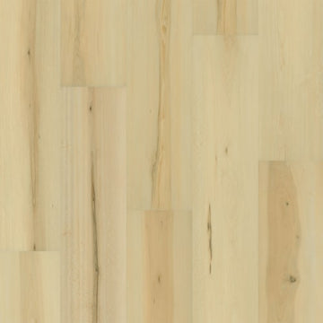 Carpenter / 9 x 60