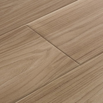 Bark
