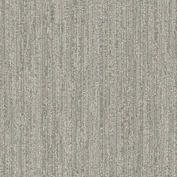 Paper Birch