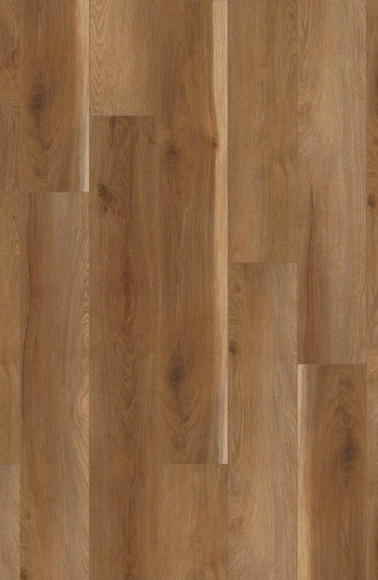 Sapwood Oak