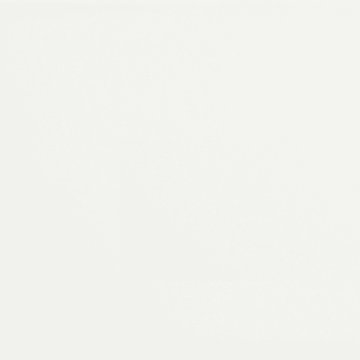 Canvas White 4x16 Pressed Glossy