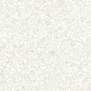 Ivory 12x24 Rectified Matte