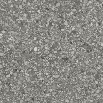 Shadow 12x24 Rectified Matte