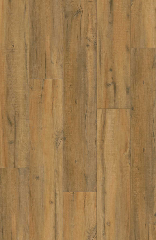 Tahoe Oak
