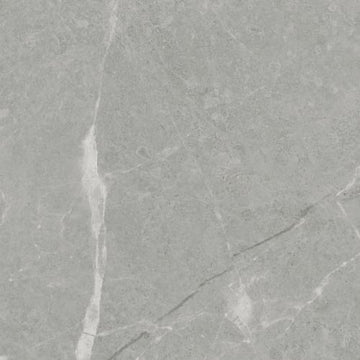 Argento 12x24 Pressed Matte