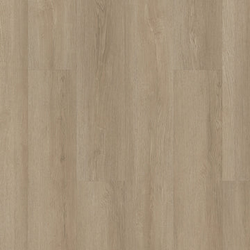 Mesa Oak