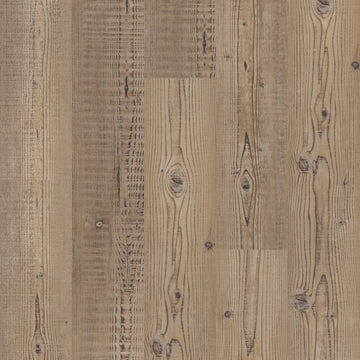 Accent Pine