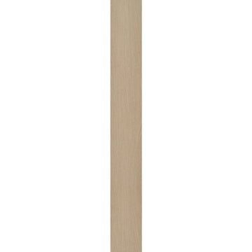 Serene Sand
