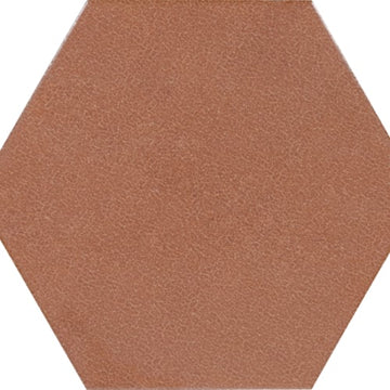 Terracotta 8" Hexagon