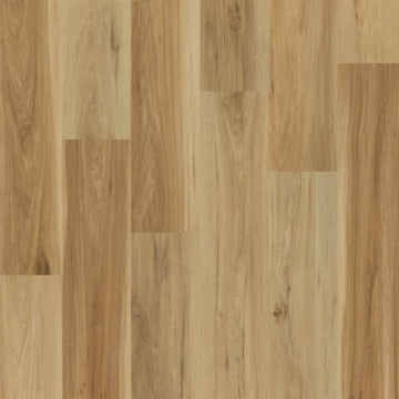 Sonesta / 9 x 60