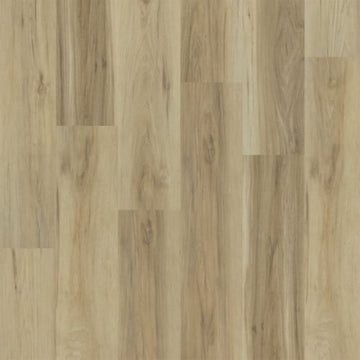 Sierra / 9 x 60