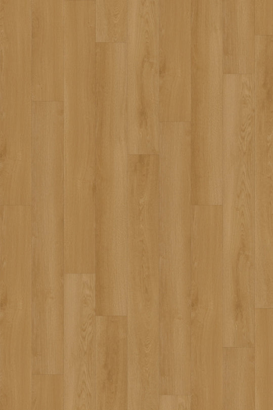 Dawn Oak