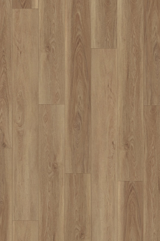 Creekside Walnut