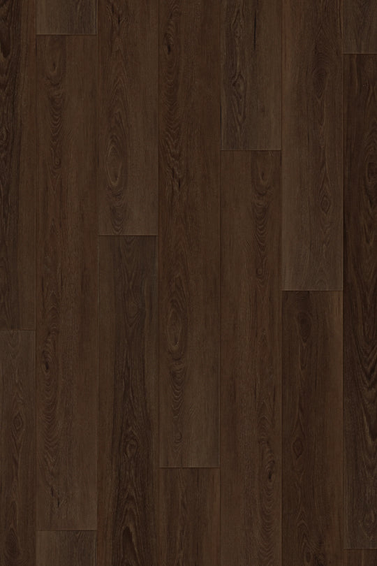 Midnight Walnut