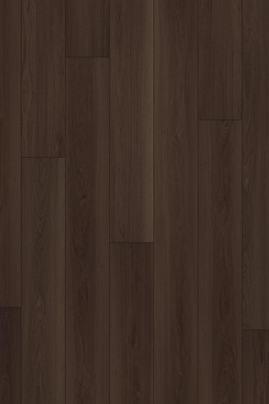 Cinnamon Oak