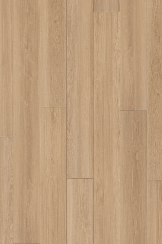 Heirloom Oak