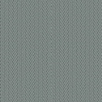 Blue Fern