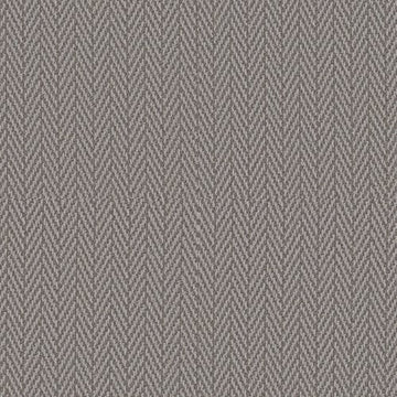 Silver Polish