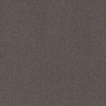 Meteorite